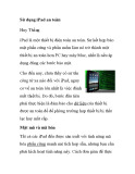 Sử dụng iPad an toàn
