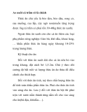 Ao nuôi cá trắm cỏ là chính