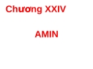 Bài giảng AMIN: Tổng hợp đầy đủ, chi tiết nhất