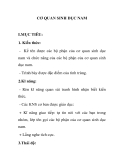 CƠ QUAN SINH DỤC NAM