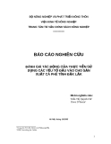 BÁO CÁO NGHIÊN CỨU ĐÁNH GIÁ TÁC ĐỘNG CỦA THỰC TIỄN SỬ DỤNG CÁC YẾU TỐ ĐẦU VÀO CHO SẢN XUẤT CÀ PHÊ TỈNH ĐẮK LẮK