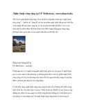 Nghệ thuật công cộng tại TP Melbourne, Australiaustralia