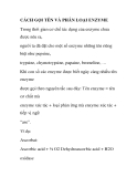 Cách gọi tên và phân loại Enzyme chuẩn nhất 2024