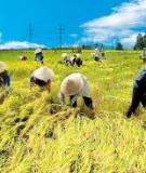 Nguyên tắc của IPM -
