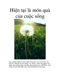 Món quà của cuộc sống: Trân trọng hiện tại