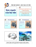 Sức Mạnh Bộ Não: Tìm Hiểu và Khám Phá