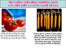 Công nghệ tế bào thực vật