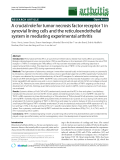 Báo cáo y học: "A crucial role for tumor necrosis factor receptor 1 in synovial lining cells and the reticuloendothelial system in mediating experimental arthritis"