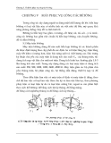 Máy xây dựng và kỹ thuật thi công C5: [Thông tin chi tiết/Hướng dẫn sử dụng/Lưu ý quan trọng]