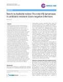 Báo cáo y học: "Bench-to-bedside review: The role of β-lactamases in antibiotic-resistant Gram-negative infections"