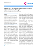 Báo cáo y học: Macrolides and community-acquired pneumonia: is quorum sensing the key"