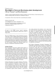 Báo cáo y học: "Moonlight in Vermont illuminates plant development"