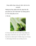 3 thực phẩm tăng cường sức khỏe sinh sản cho nam giới 