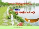 Giáo án điện tử tiểu học: Mở rộng vốn từ về chim muông