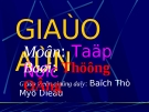 Giáo án điện tử tiểu học: Tập đọc bài thương ông