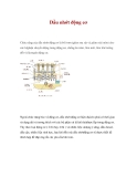 Dầu nhớt động cơ 