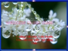 Giáo án điện tử tiểu học: Let's Learn Some more U2