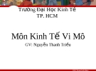 Kinh Tế Vi Mô: Tài liệu môn học (GV Nguyễn Thanh Triều)