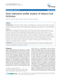 báo cáo khoa học: " Gene expression profile analysis of tobacco leaf trichomes"