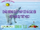 Giáo án điện tử sinh học:Sinh học lớp 12- Bài 36- Cơ bản của bài 2