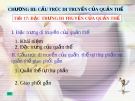 Giáo án điện tử Sinh học lớp 12: Cấu trúc di truyền của quần thể (Bài giảng)