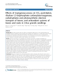 báo cáo khoa học: "  Effects of manganese-excess on CO2 assimilation, ribulose-1,5-bisphosphate carboxylase/oxygenase, carbohydrates and photosynthetic electron transport of leaves, and antioxidant systems of leaves and roots in Citrus grandis seedlings"