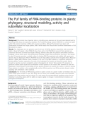 báo cáo khoa học: "  The Puf family of RNA-binding proteins in plants: phylogeny, structural modeling, activity and subcellular localization"