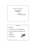 Lập trình C trên Windows Nguyễn Tri Tuấn Khoa CNTT