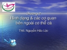 Hình dạng và các cơ quan bên ngoài cơ thể cá