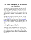 Các yêu tố ảnh hưởng tới sức khỏe trẻ em nên tránh