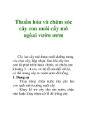 Thuần hóa và chăm sóc cây lan cấy mô ngoài vườn ươm chuẩn nhất