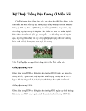 Kỹ Thuật Trồng Đậu Tương Ở Miền Núi