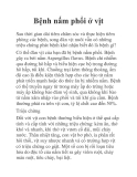 Bệnh nấm phổi ở vịt