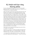 Kỹ thuật nuôi lợn rừng thương phẩm