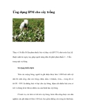 Ứng dụng IPM cho cây trồng