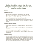 Hướng dẫn phòng trừ rầy nâu, rầy lưng trắng truyền bệnh vàng lùn, lùn xoắn lá và bệnh lùn sọc đen hại lúa