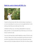 Bưởi da xanh ở thành phố Bến Tre