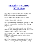 ĐỀ KIỂM TRA HỌC KỲ II (thử)