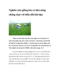 Nghiên cứu giống lúa có khả năng chống chọi với biến đổi khí hậu