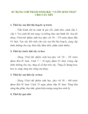 SỬ DỤNG CHẾ PHẨM SINH HỌC “VƯỜN SINH THÁI” CHO CÂY MÍT