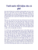 Tưới nước tiết kiệm cho cà phê