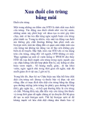 Xua đuổi côn trùng bằng mùi