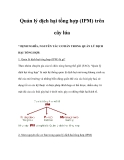 Quản lý dịch hại tổng hợp (IPM) trên cây lúa