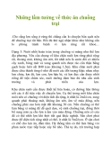 Những lầm tưởng về thức ăn chuồng trại
