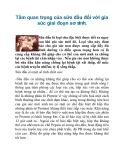 Tầm quan trọng của sữa đầu đối với gia súc giai đoạn sơ sinh.