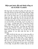Hiệu quả bước đầu mô hình trồng cà rốt SUPER VL444F1