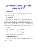 Quy trình kỹ thuật gieo cấy giống lúa VD3