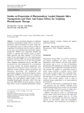 Báo cáo hóa học: "  Studies on Preparation of Photosensitizer Loaded Magnetic Silica Nanoparticles and Their Anti-Tumor Effects for Targeting Photodynamic Therap"