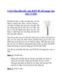 Cách bấm đầu dây cáp RJ45 để nối mạng cho máy vi tính