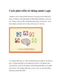 Cách phát triển trí thông minh Logic hiệu quả nhất